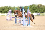 SBM_000980