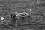 Cast Adrift