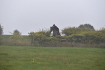 WJ5_7369