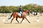 SBM_017003