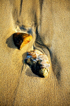 Pebbles - Isle of Lewis