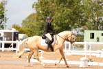 SBM_03749