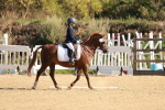 SBM_009183
