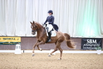 SBM_009131