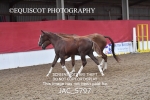 JAC_5797