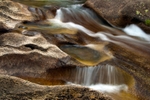Along the Dana Fork