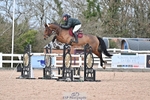 Cls 5 Foxhunter and 1.20m portfolio