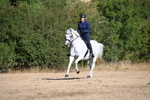 WJ6_6817