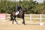 SBM_015633