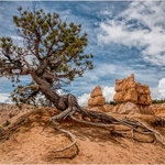 LANDSCAPE portfolio