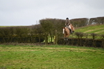 WJ6_7668