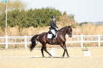 SBM_017402