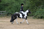 WJ7_7607