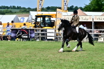 SBM_08028