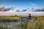 Red Hat