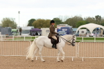 SBM_16466