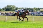 260826-Race 2-Lady Gormire-2377