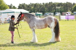 SBM_08882