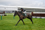 121225-Race 2-Royal Infantry-4675