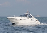 090808 ZAZU IMG_5954