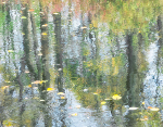 BIG CREEK, OCTOBER - NORFOLK COUNTY
