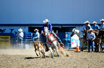 3HRodeo8-11-25_PRCASteer_02941_