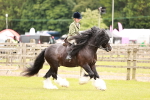 SBM_06224