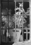 Window Flowers Farnley Church in Black and White