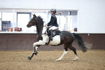 SBM_000294
