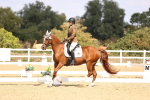 SBM_014978