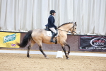 SBM_002741