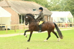 SBM_72005