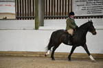 Class 17 Ridden Cob portfolio