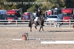 BPP_8861