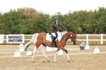 SBM_001347