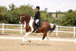 SBM_008764