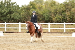 SBM_001331