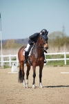 SJ3_1180