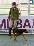 Berks & Bucks at the Great Yorkshire Show 2025 portfolio