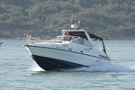 150906 PEREGRIN II - FALCON IMG_9694