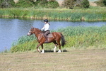 WJ7_3653