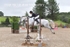 BPP_1664