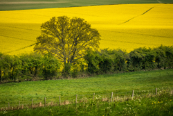 Wider view portfolio