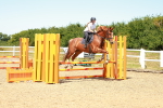SBM_006366