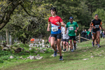 Dovedale-1294
