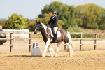 SBM_000364