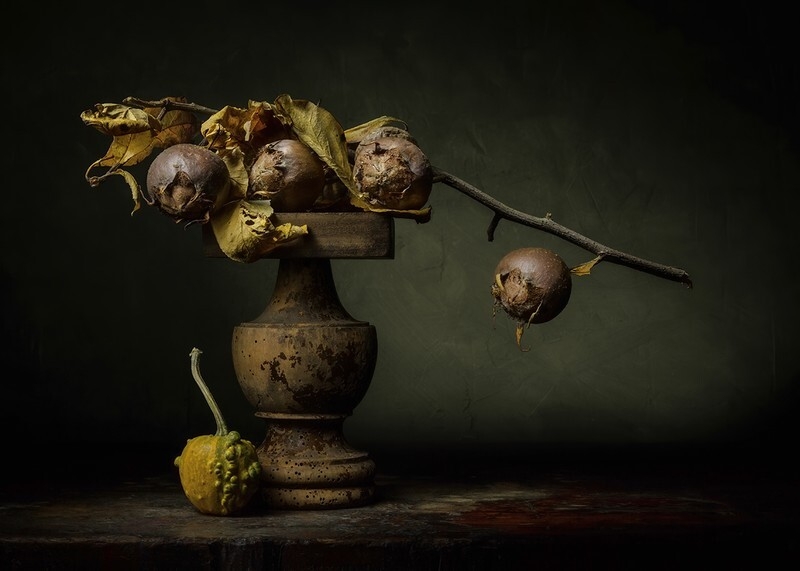 Ripe Medlars