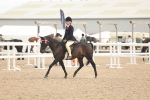 SBM_16019