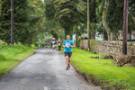 Acorn bank-591