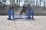 BPP_6179